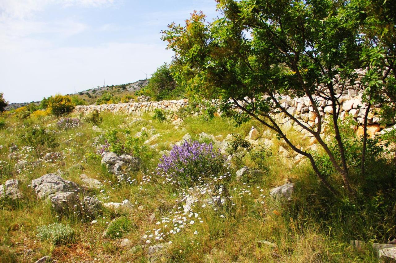 Vrsine Villa Zlatno Sunce In The Hills Near Trogir מראה חיצוני תמונה